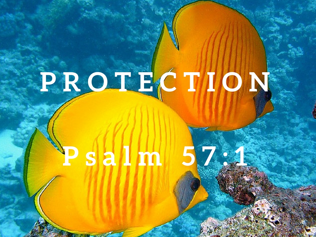 Psalm 57:1