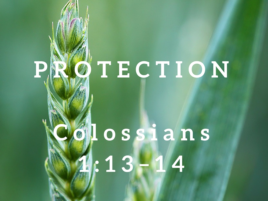 Colossians 1:13–14