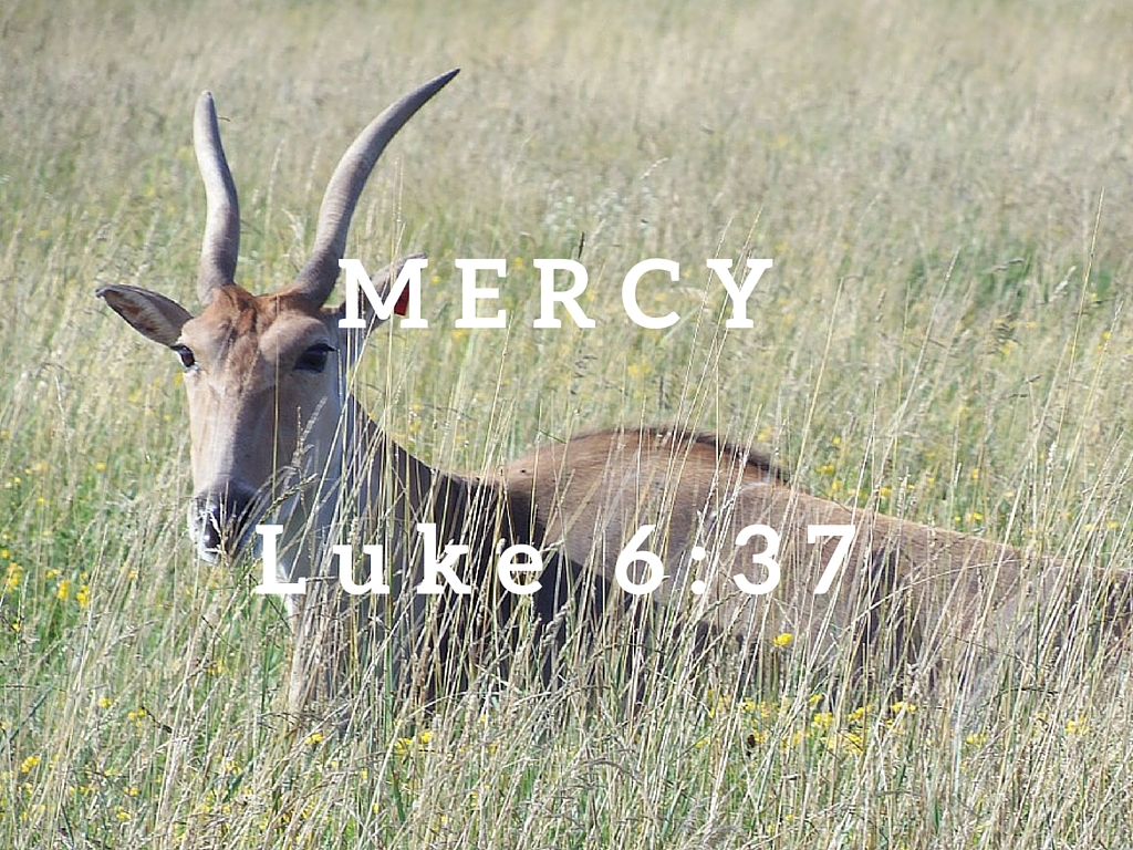 Luke 6:37