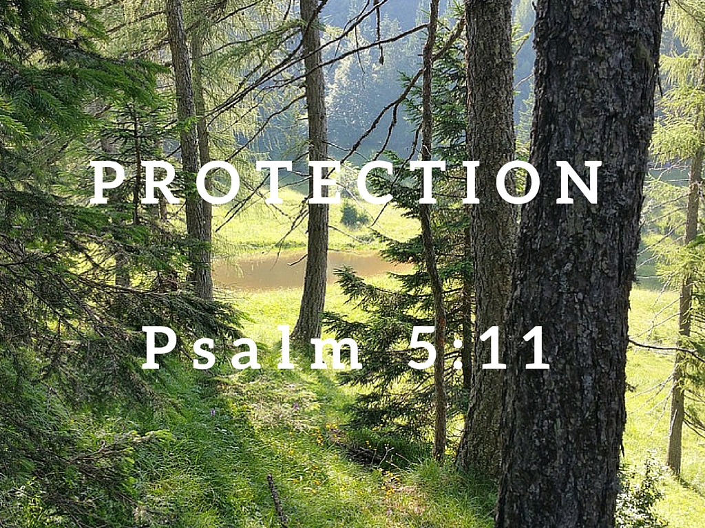 Psalm 5:11